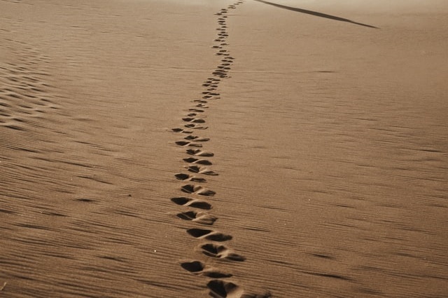 Determination to Follow Jesus 1 17c49d0