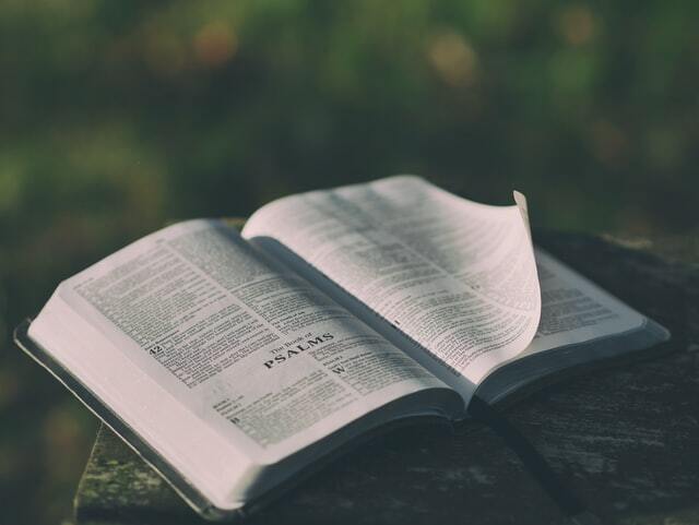 The First Place (Luke 2.22-52) 1 6dd3c17