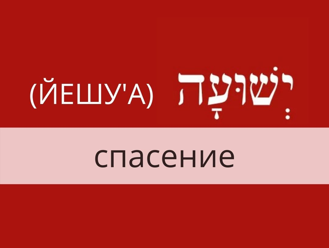 706b36c