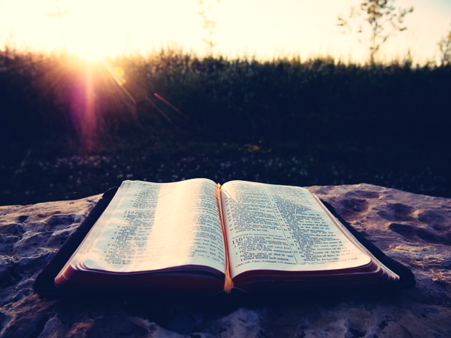 The Word of Life 1 74b0f53