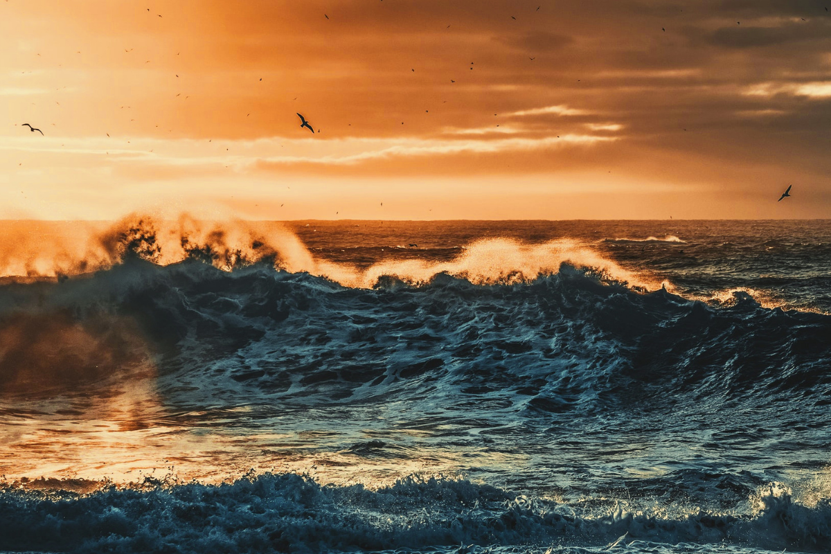 Creation Cries Out 1 Creation Cries Out