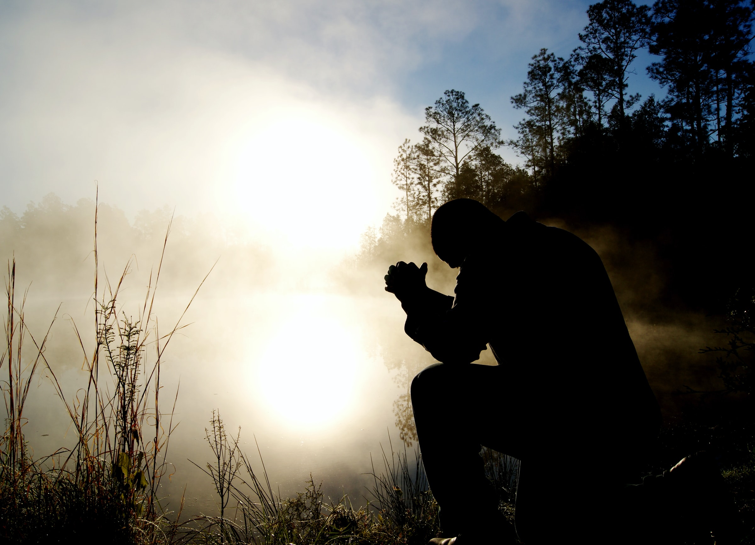 Bible Study Series: Wise Up! (James 1: 5-11) 1 aaron burden lpcu8hngu2e unsplash 1