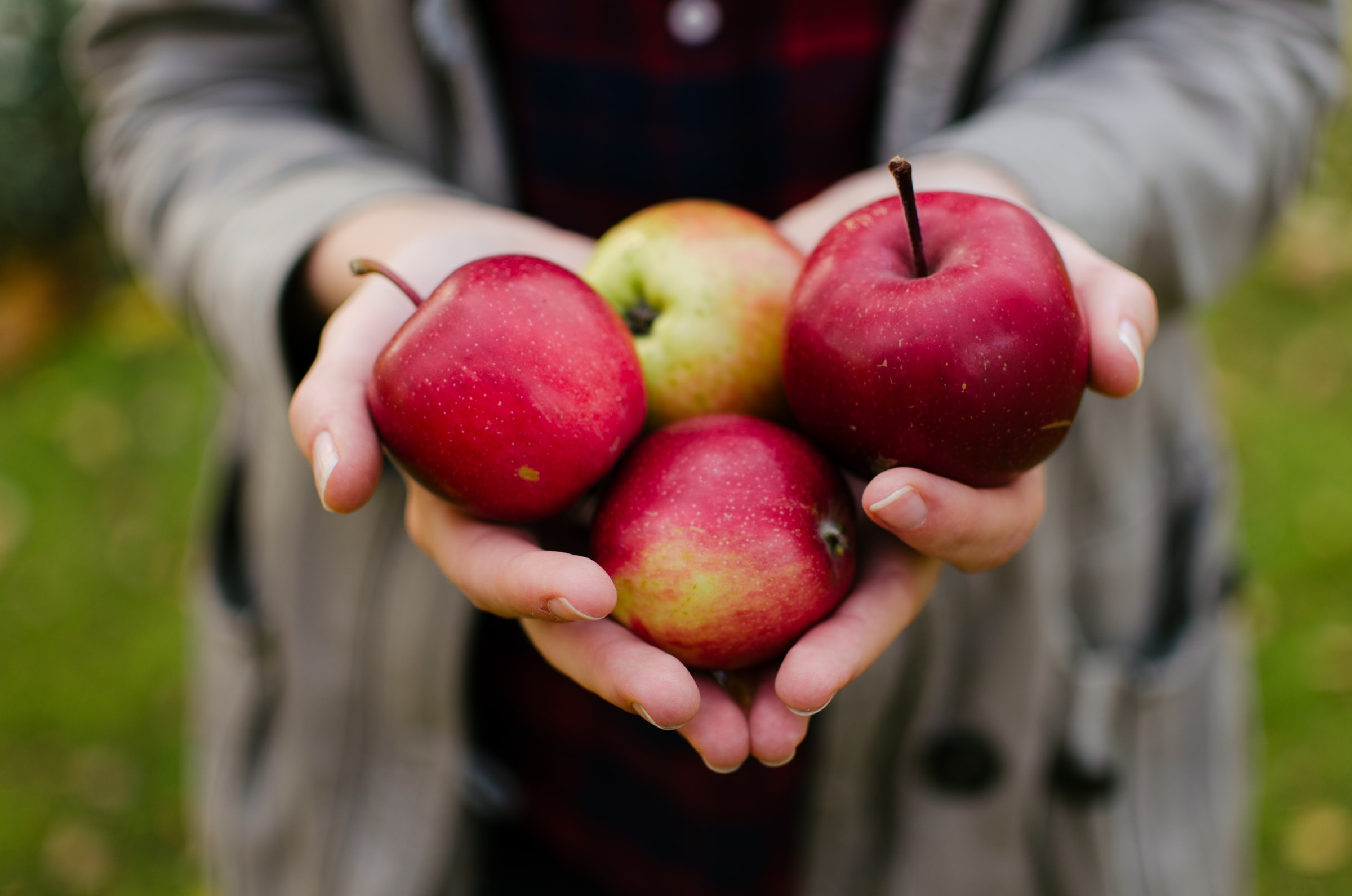 Being Rich in Faith (James 5: 1-6) 1 aaron blanco tejedor cnpyalgzhmo unsplash