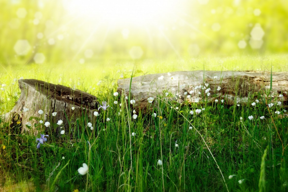 Light and Life 1 barnabas today devotionals light and life