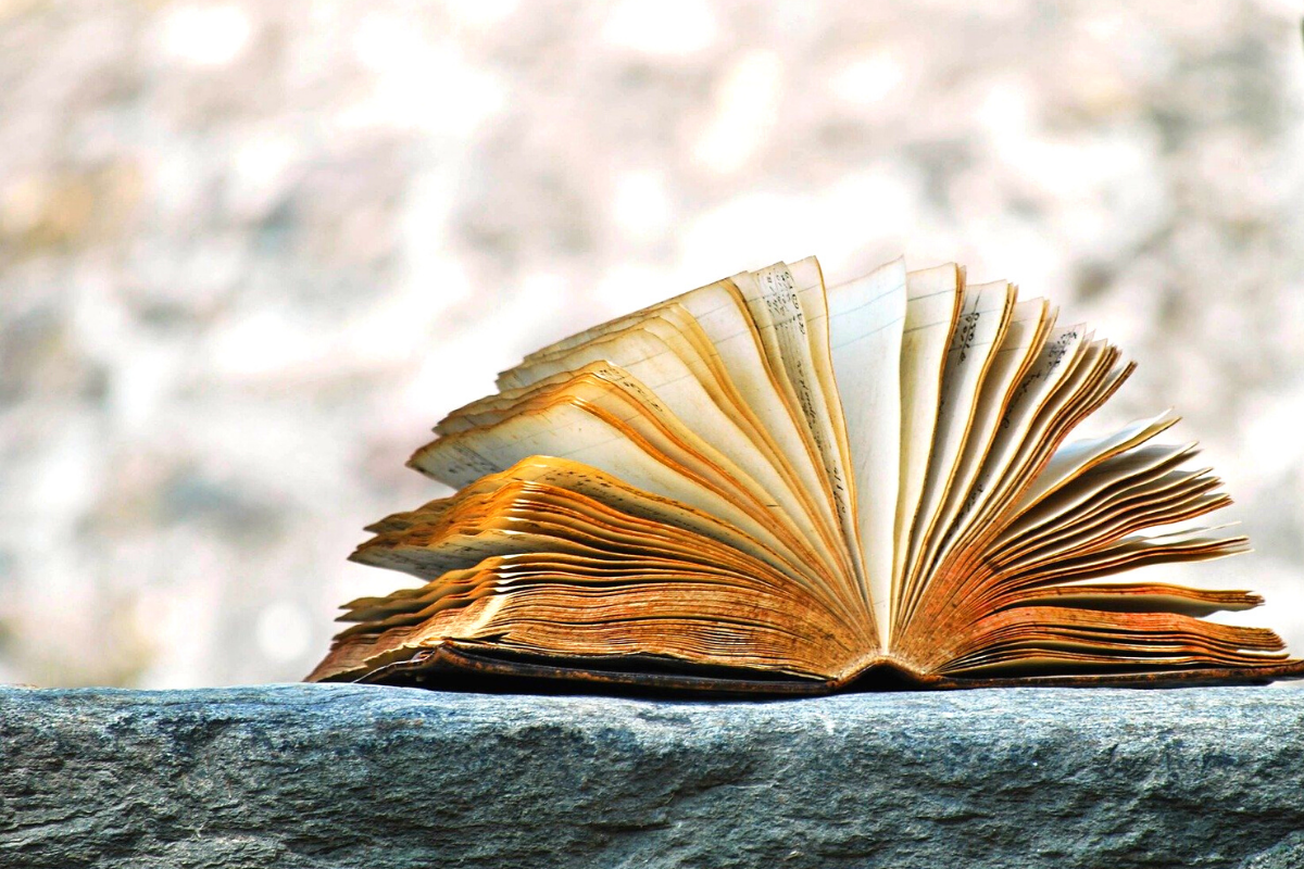 Story 1 story image by trixie liko from pixabay