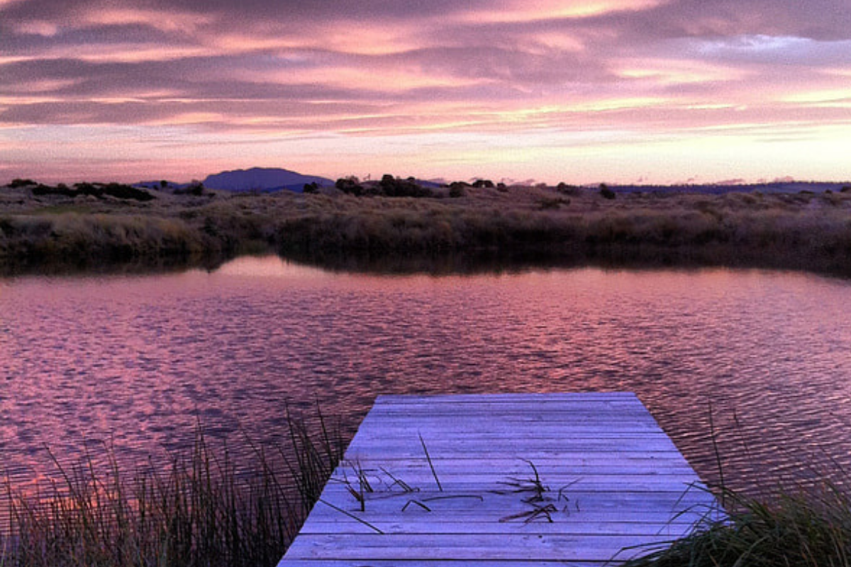 Stillness