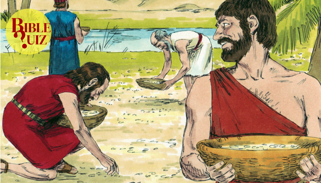 barnabas today weekly bible quiz gods provision in israels exodus exodus 16 18 website 1