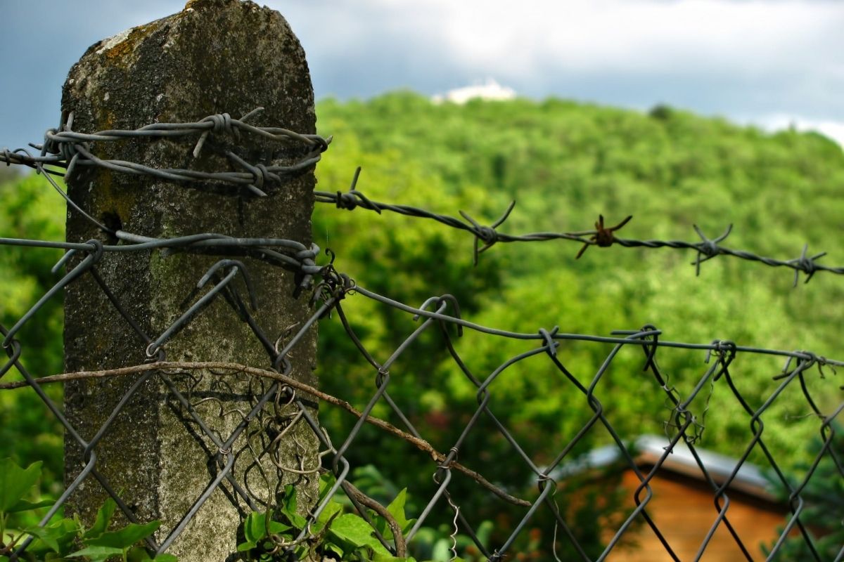 The Cross and Human Rights 1 The Cross