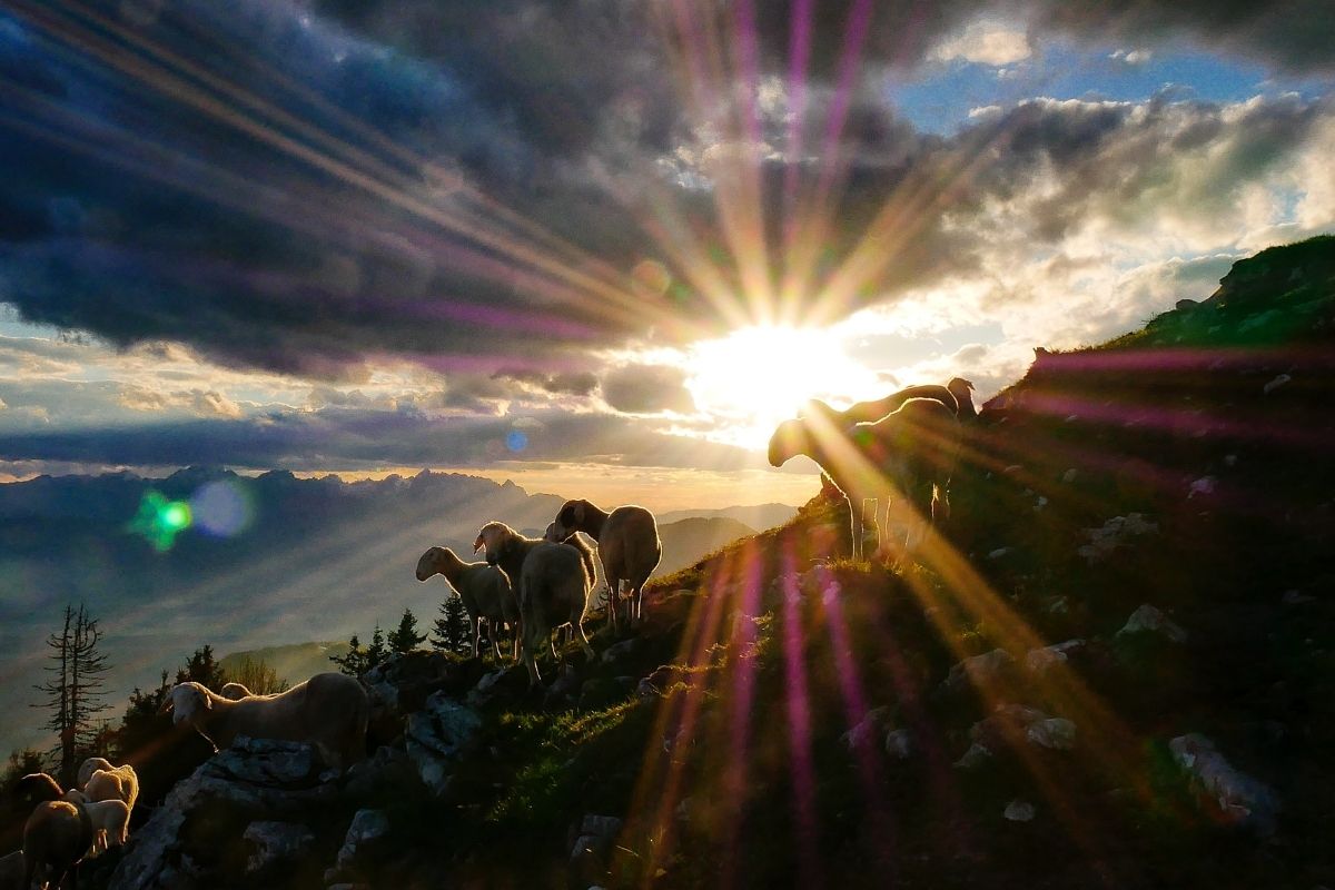 Blinded by the Light 1 2022 website 1200x800 39