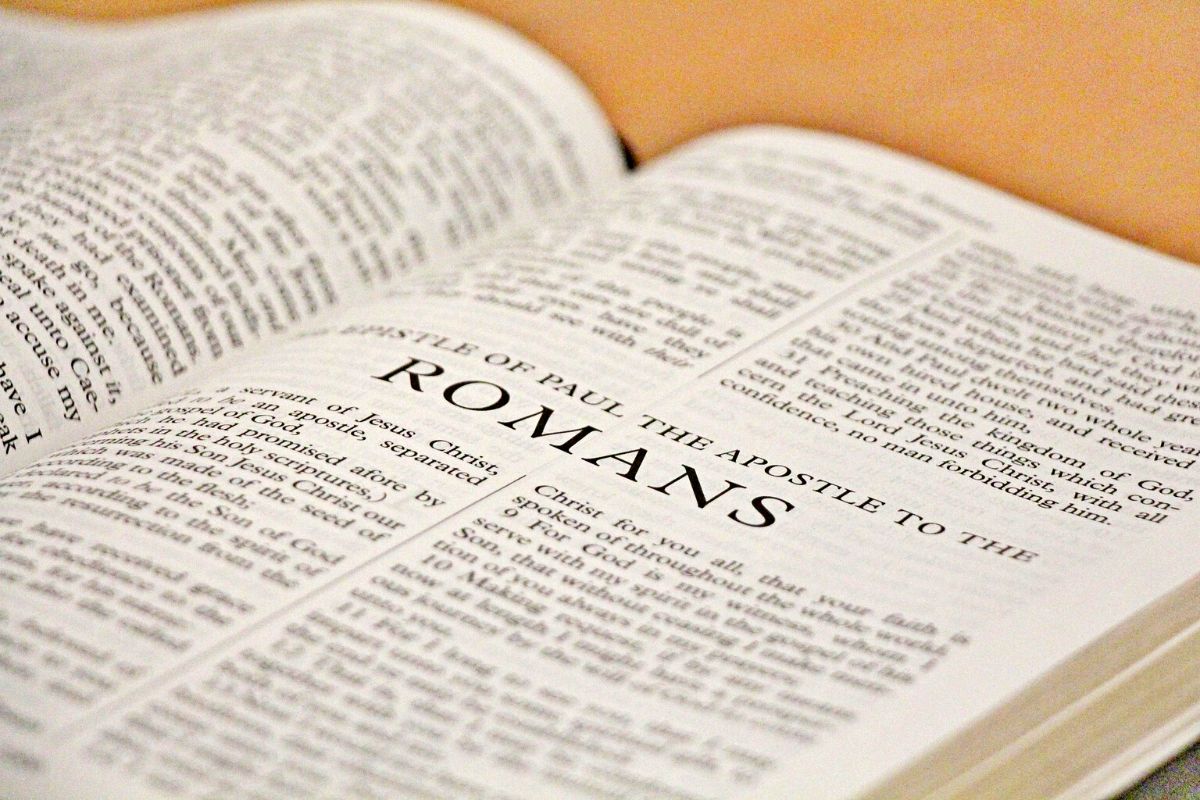 The Gospel 1 the gospel