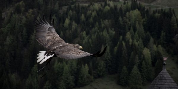 HOPE: A New Perspective! 2 Fly High - Hope