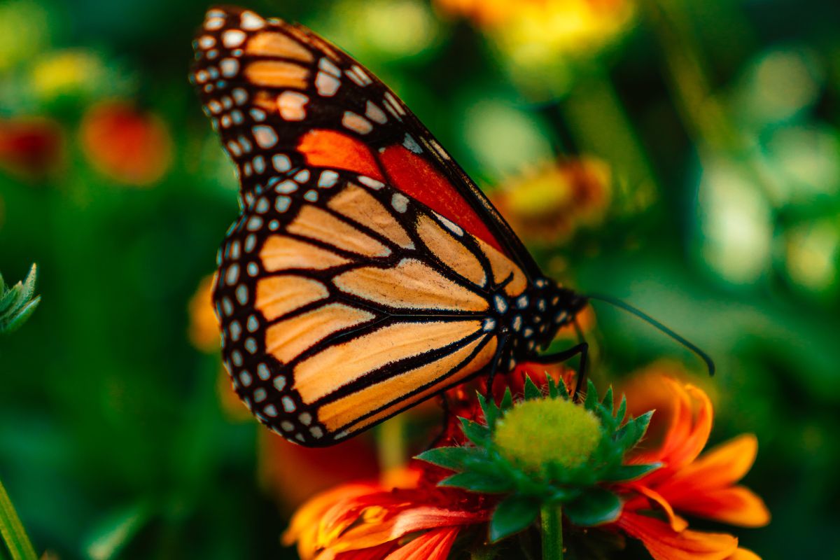 A New Perspective on God’s Mercy 3 2022 website 1200x800 12