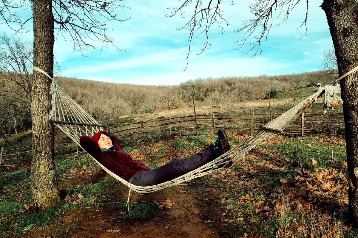<strong>Rest</strong> 1 2022 website 1200x800 54