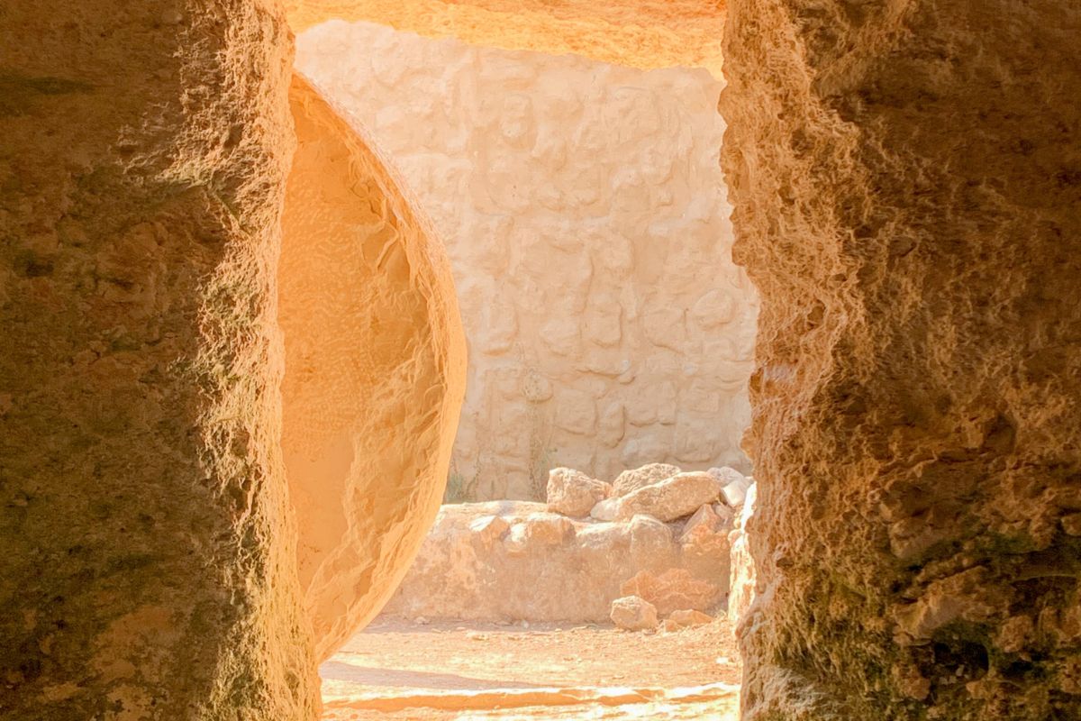 <strong><em>Encounter</em></strong> 1 2022 website 1200x800 13