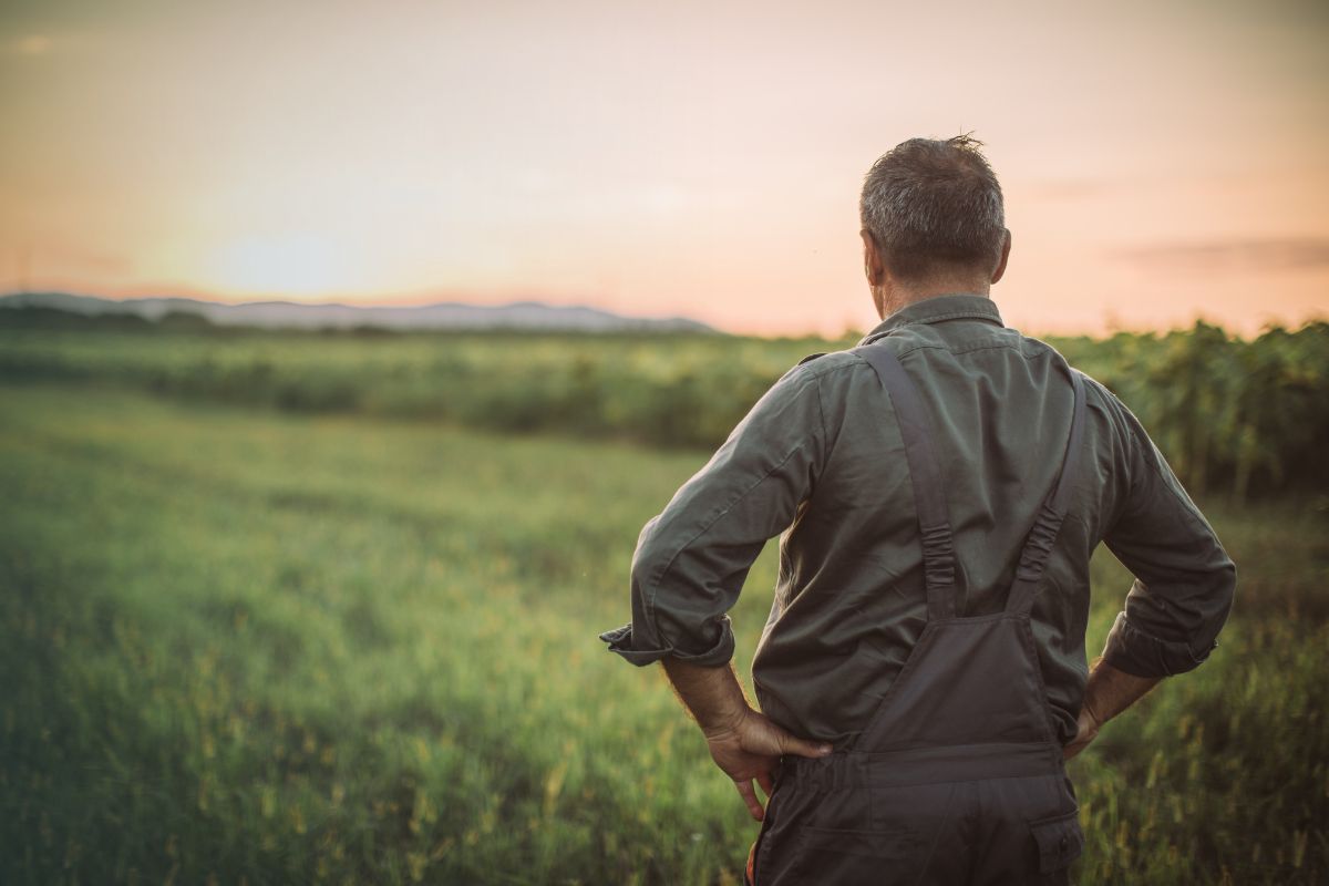 Buying a Field 1 2023 website 1200x800 15