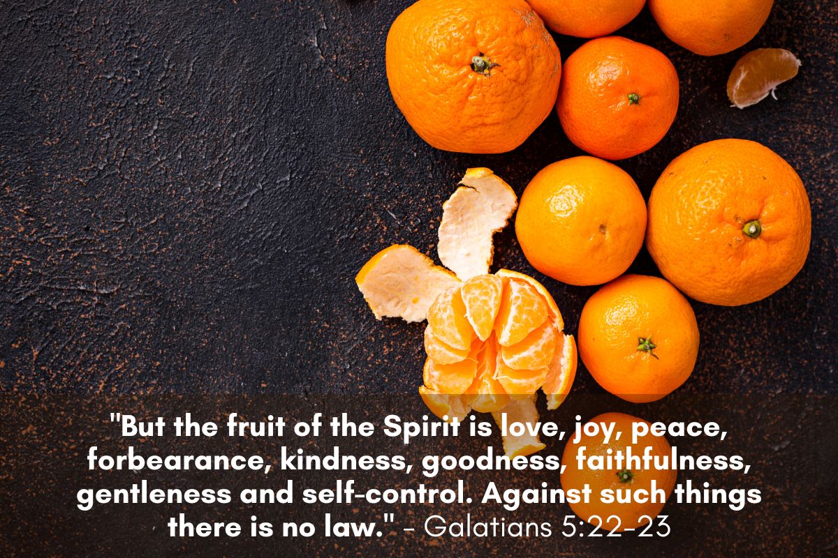Patience as a Virtue: Exploring Five Verses That Emphasize its Importance 2 Patience