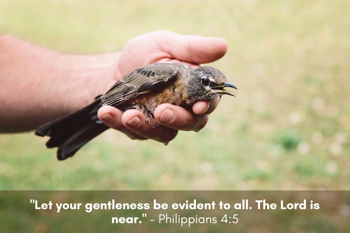Kindness: A Path to Personal and Social Transformation 4 Kindness