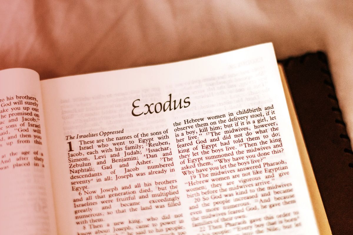 5 Reasons to Read Exodus 1 Exodus