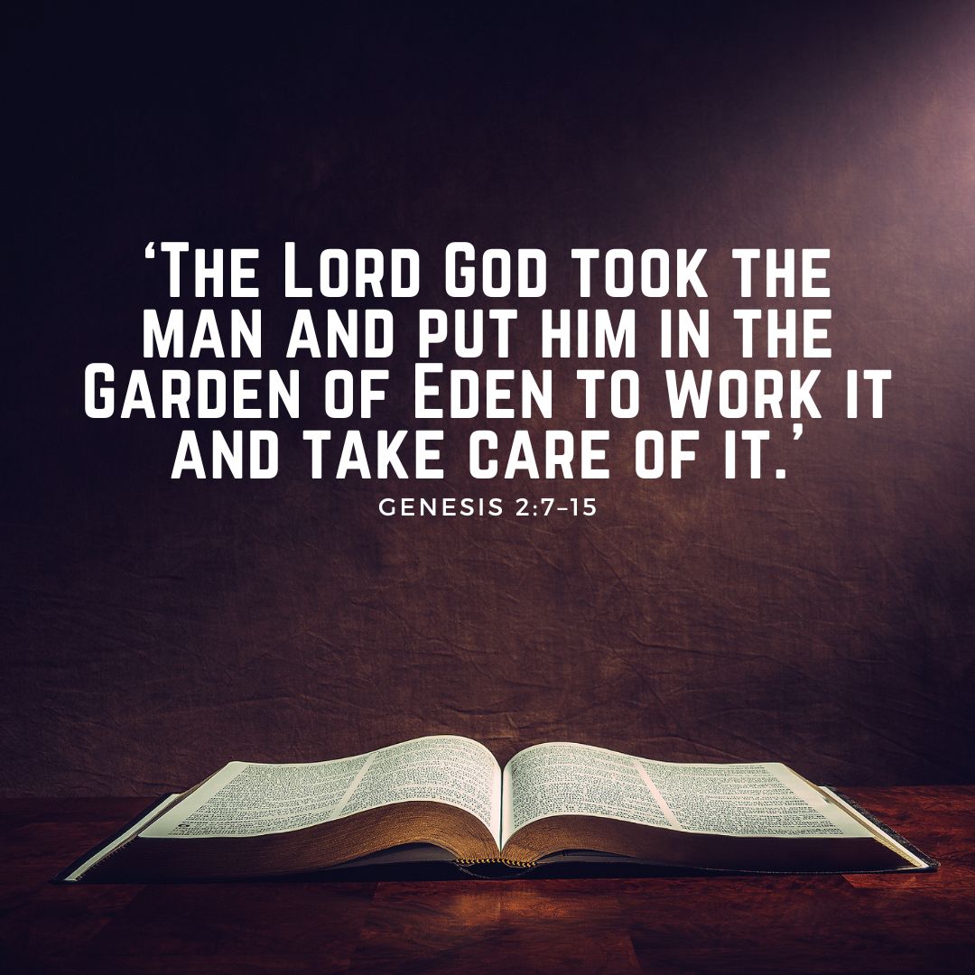devotional bible verse website square 11