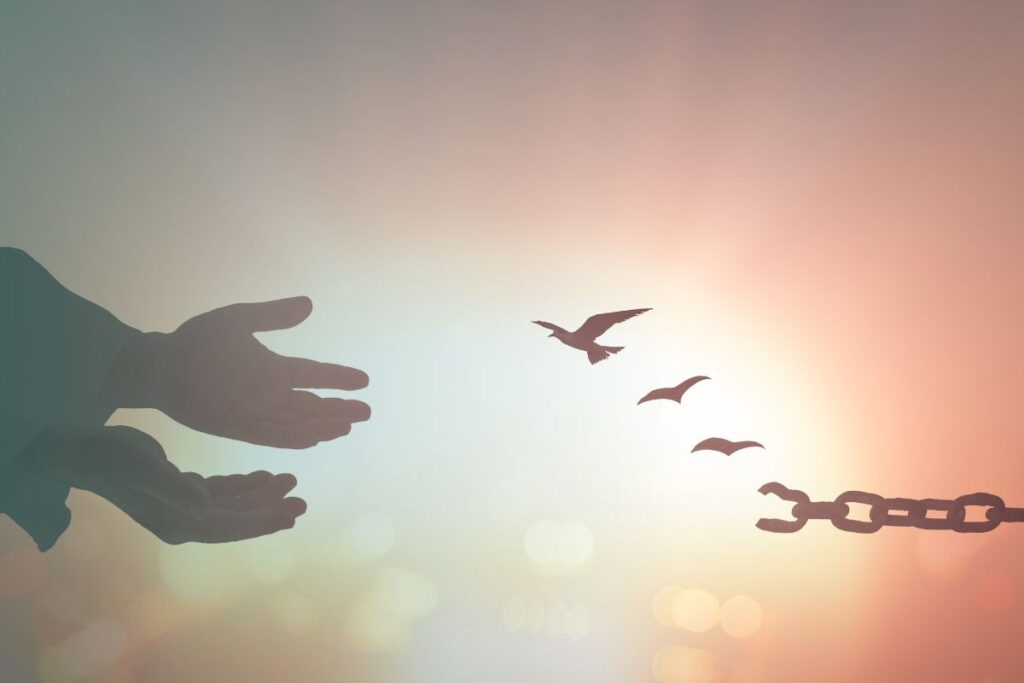 Freedom