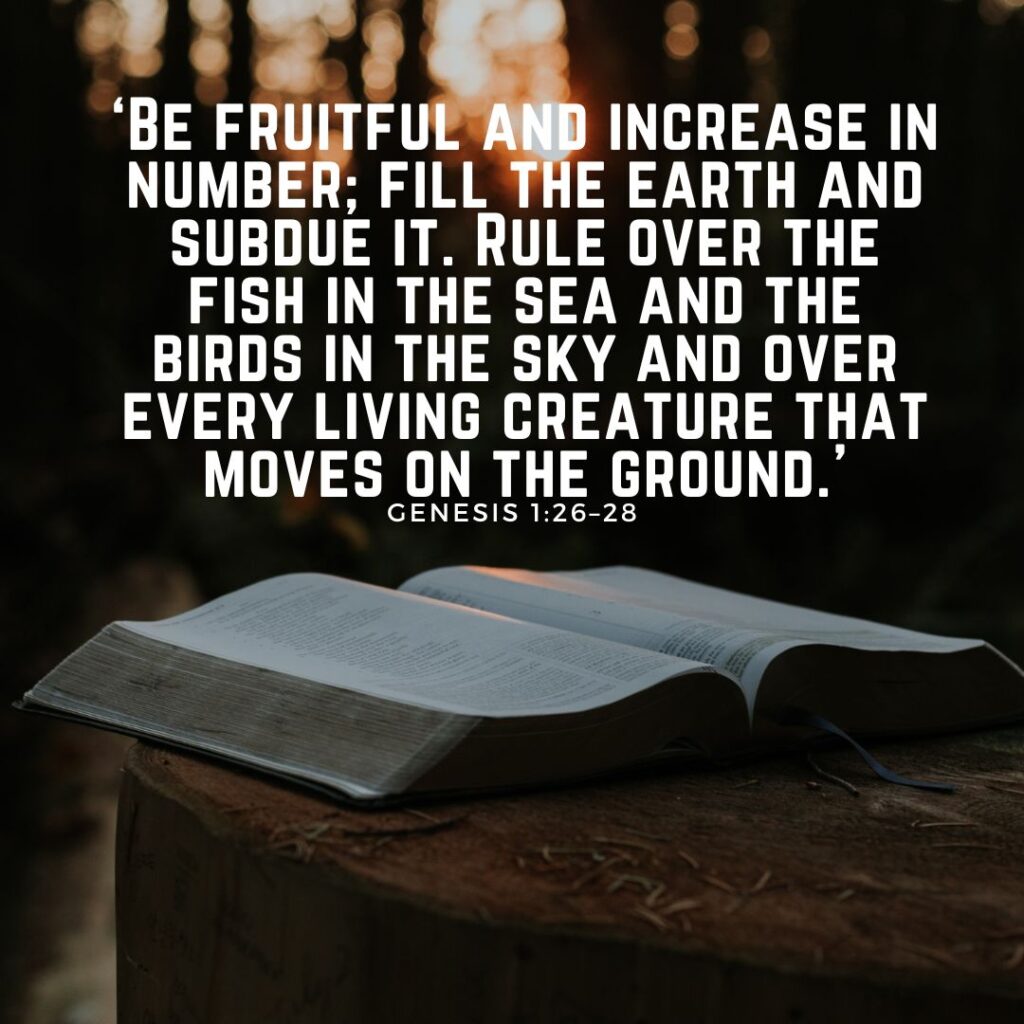devotional bible verse website square 13