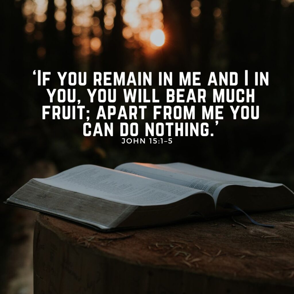 devotional bible verse website square 33