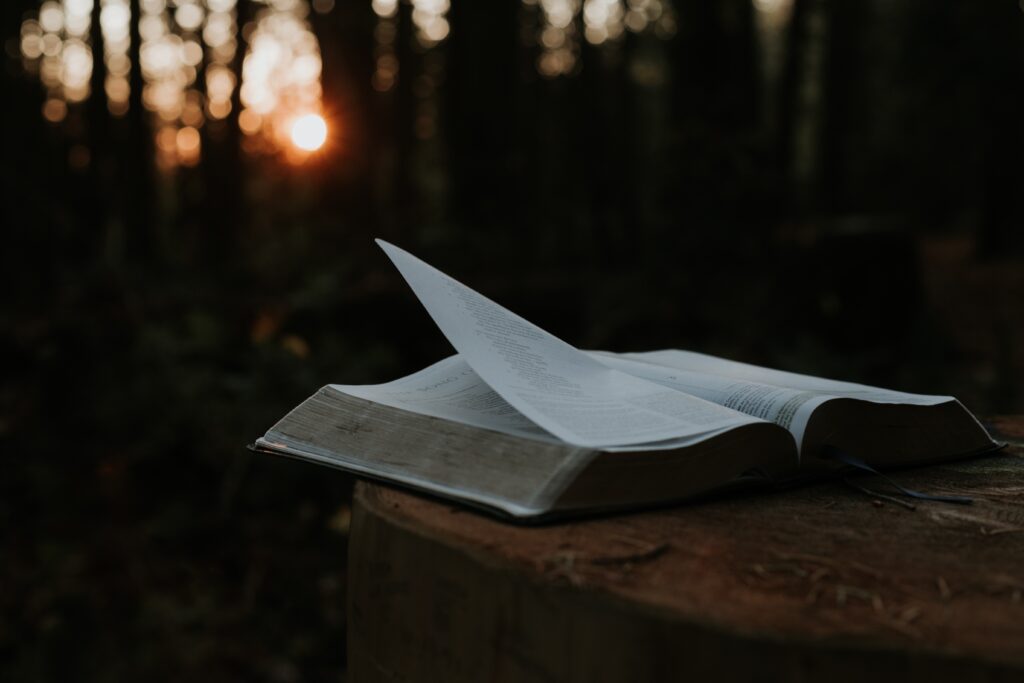 10 Easy Ways to Overcome 'Digital Addiction' 9 priscilla du preez cnf31obmocs unsplash