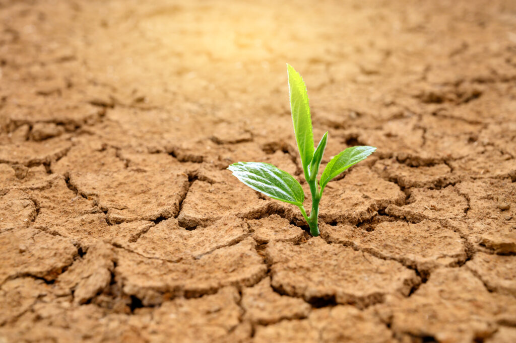 Can God Speak Into Our Desert Experiences? 1 istock 1166034261