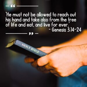 devotional bible verse website square 21